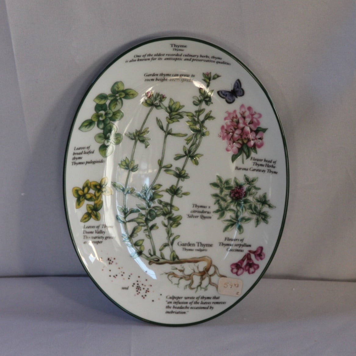 ROYAL WORCESTER FINE CHINA 1990 COLLECTABLE HERB PLATES THYME